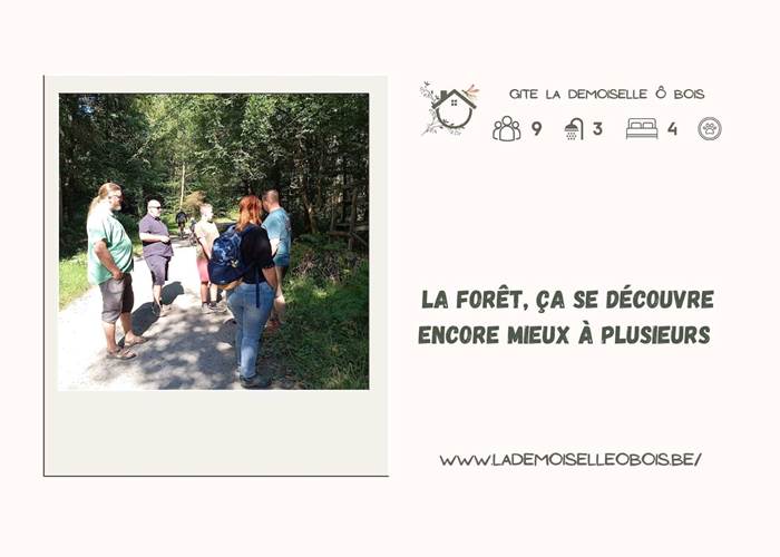 Explorer la forêt depuis la Demoiselle ô bois