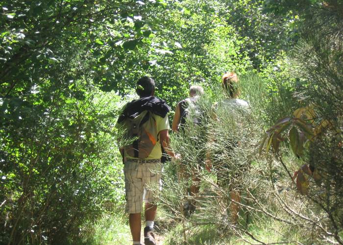 Ballade sur les chemins de Margeride