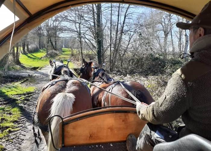 #BaladeEnCalècheVienne #CalècheVienne86 #PromenadeEnCalècheLimousin #CalèchePoitiers #CalècheMontmorillon #CalècheChauvigny #BaladeChevalVienne #CalècheLimoges #CalècheHauteVienne #PromenadeAttelageLimousin