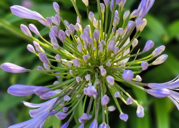 chambre-hotes-bretagne-cap-frehel-dinan
