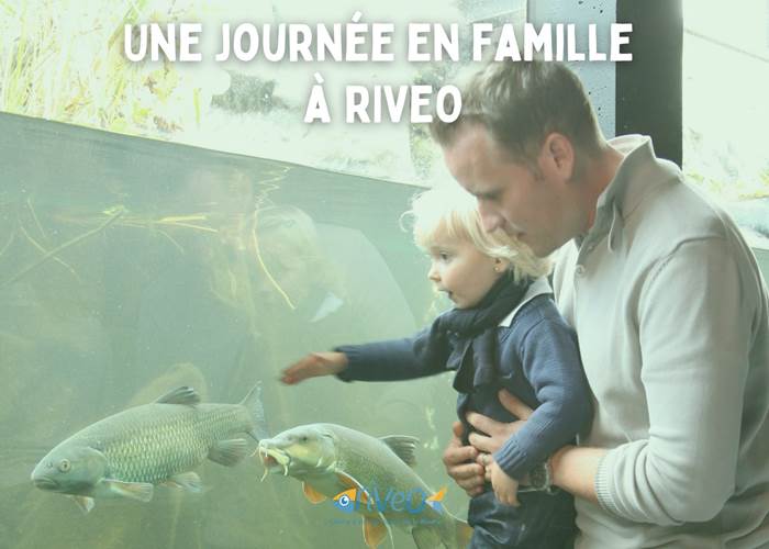 sortie-famille-riveo-ardenne-nature