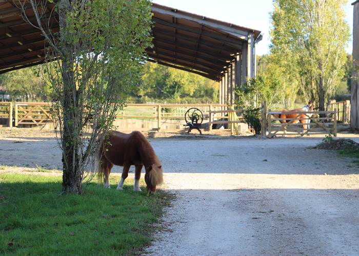 Pirate en liberté !-page