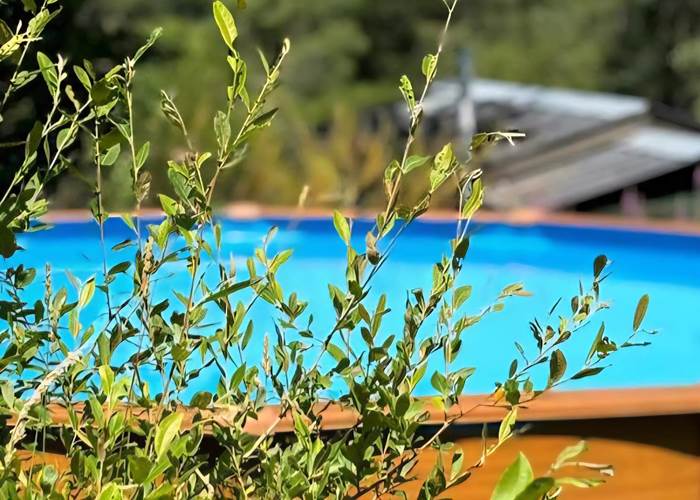 Le Ranch Pool