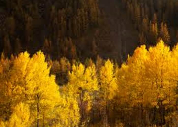 L'automne en montagne-page