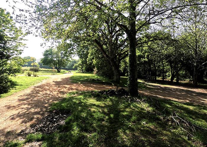 Arbres glamping vue sur le terrain de petanque au loin-news