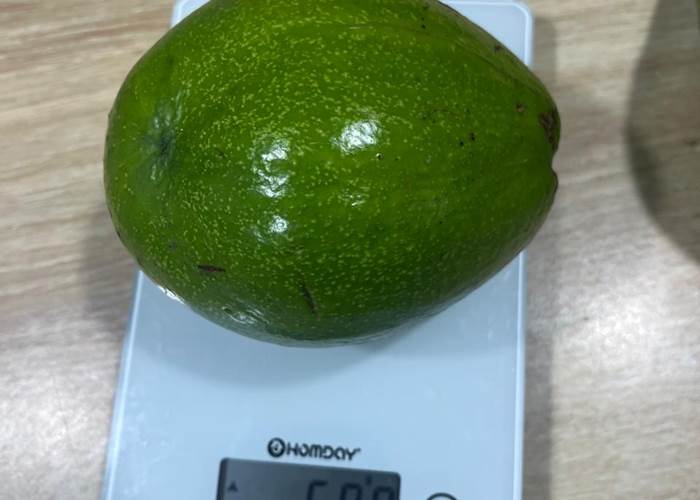 avocat du jardin