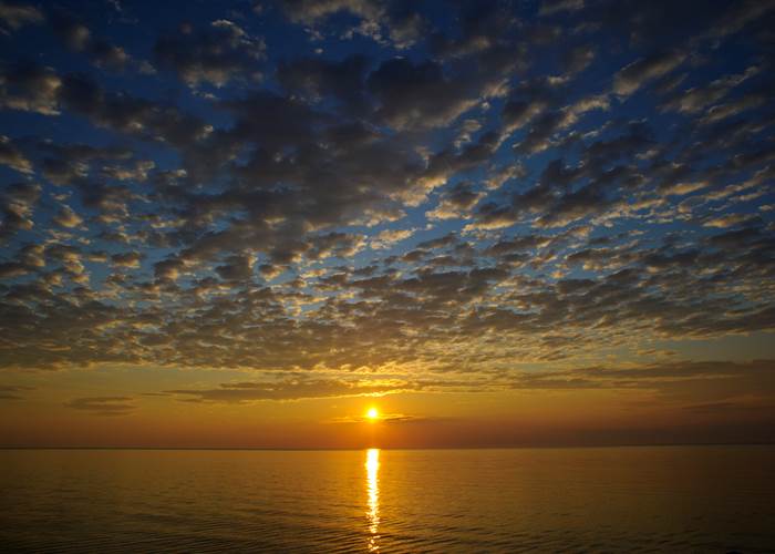 L_Acadien Sea Adventures_Mackerel_2011_15