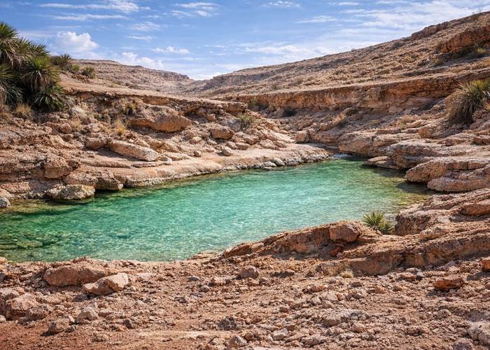 L'oued dans l'oasis de Saf-Saf