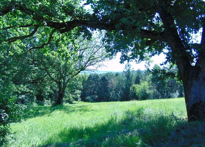 La nature au coeur de votre séjour