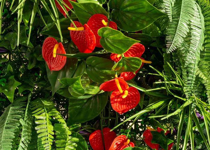 OCEAN 7 - Ambiance ?