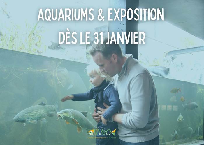 riveo-aquariums-exposition-activite-famille-hiver-ardenne