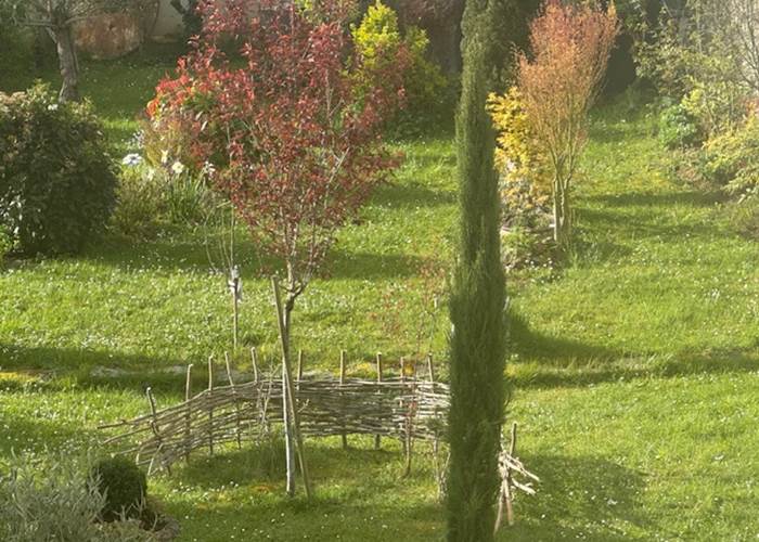 jardin