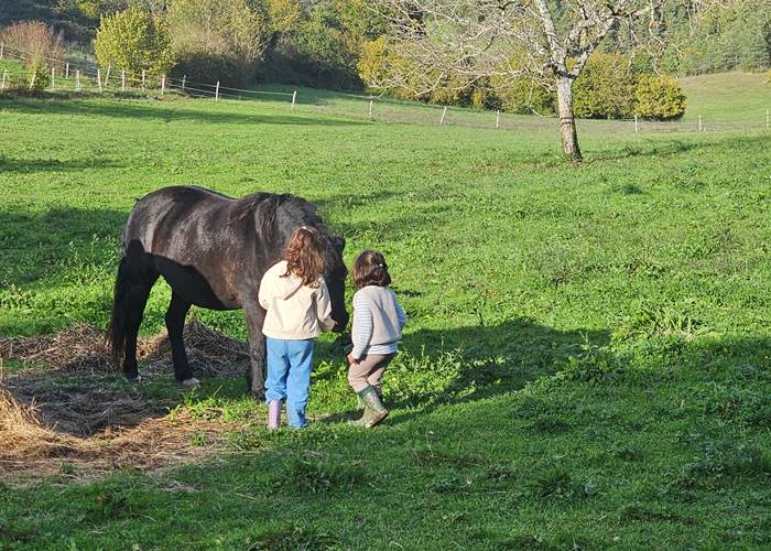 nos petits vacanciers au plus proche de nos animaux