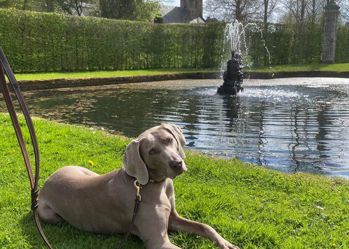 Plume aux Jardins d'Annevoie
