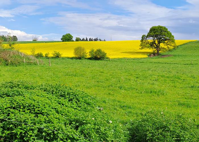 Prairies et cultures