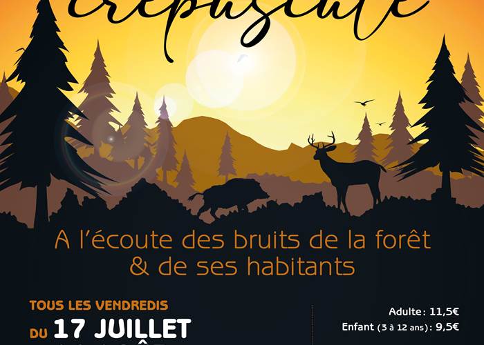 Sans titre