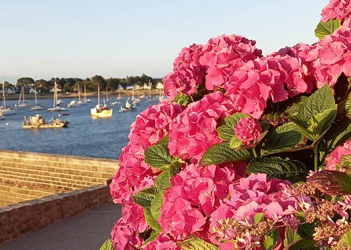 Port Navalo - Point de départ des croisières dans le Golfe du Morbihan
