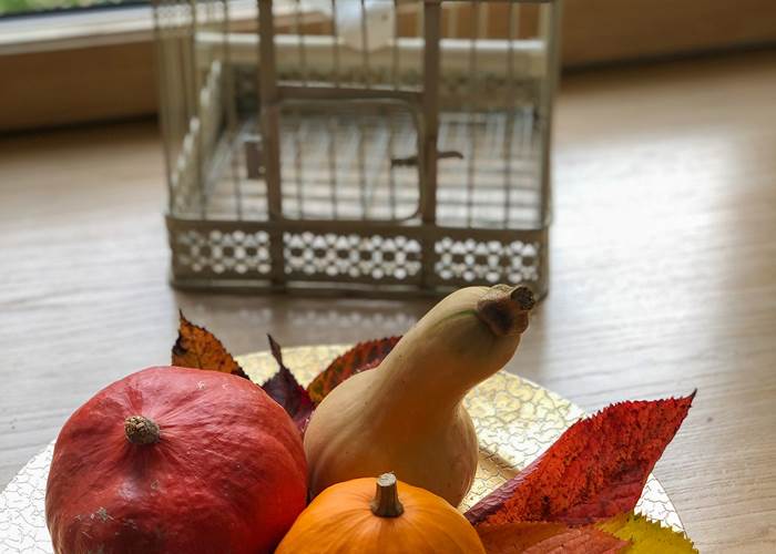 l'automne en fête à la Demeure du Porzou