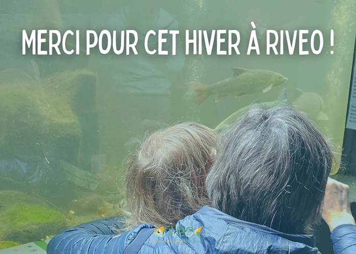 tourisme-vert-famille-nature-wallonie