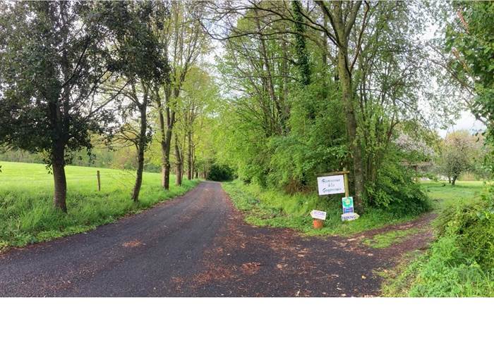 vous êtes arrivés dans le domaine ...