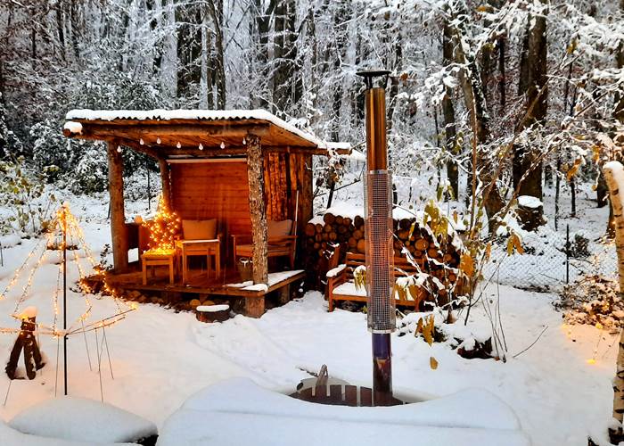 Domaine dans la forêt-news