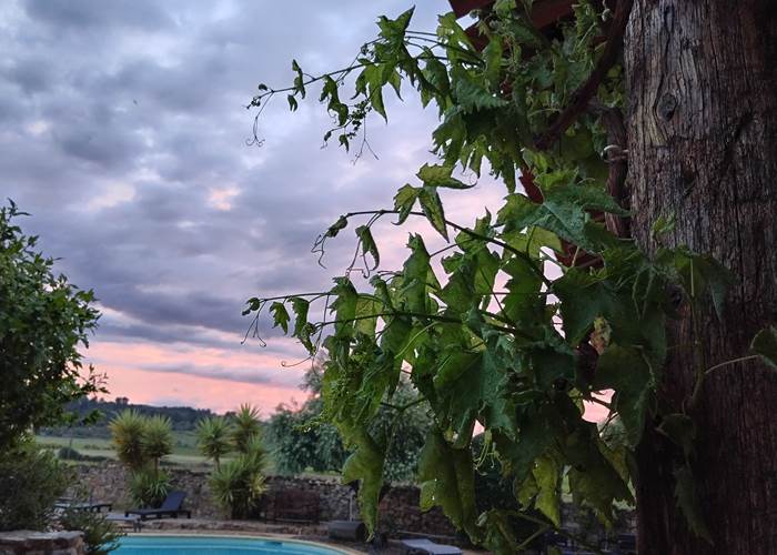 Respirez et admirez les merveilleux coucher de soleil