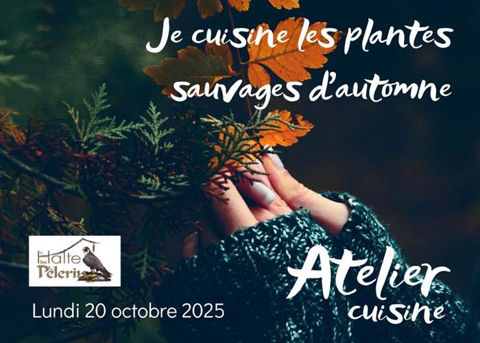 Je cuisine les plantes sauvages d'automne
