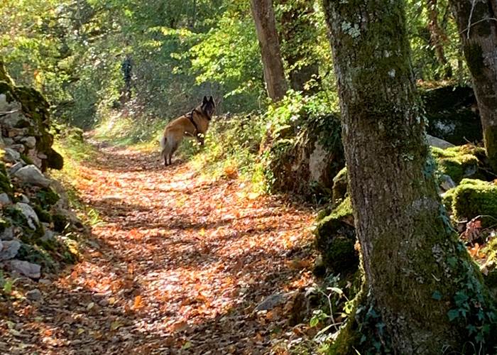 Le Compostelle - GR 6