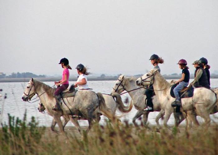 promenade à cheval à proximité