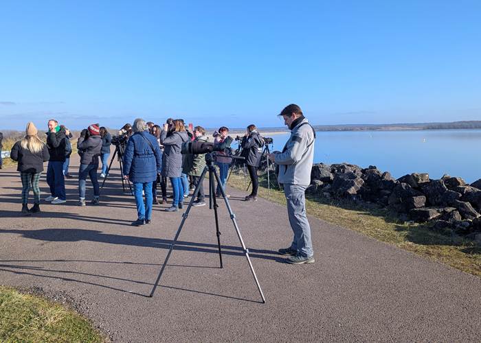 observation-ornithologique