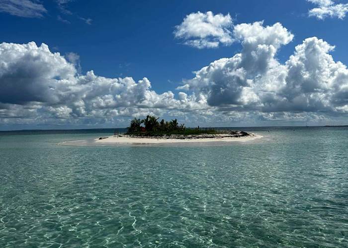 #vacances #week-end #experienceunique #voyage #activitetouristique #nature #sortiegwada #sortiepascher #sortieavis #sortiereservation #meilleursortiegwada #sortie2025 #gwada #repas #aperitif #plongee #plage #masque #tuba