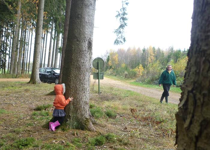 Les découvertes en forêt et ses parties de cache cache