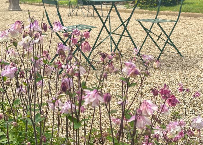 un 1er mai tout en beauté à la Demeure du Porzou