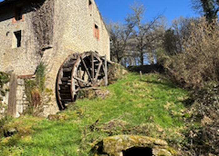 O Moulin du Fieux - Moulin avec roue et source