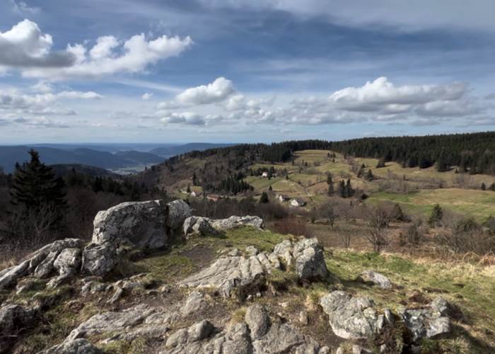 Piquante Pierre, Vosges-page