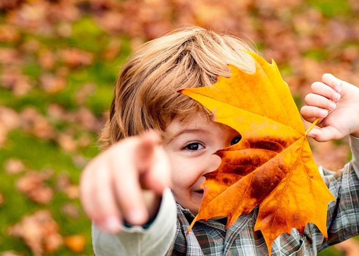 Un moment en famille dans la forêt des Vosges
