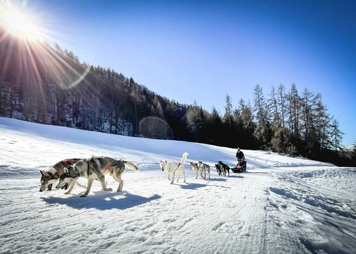 Balade avec les Huskys