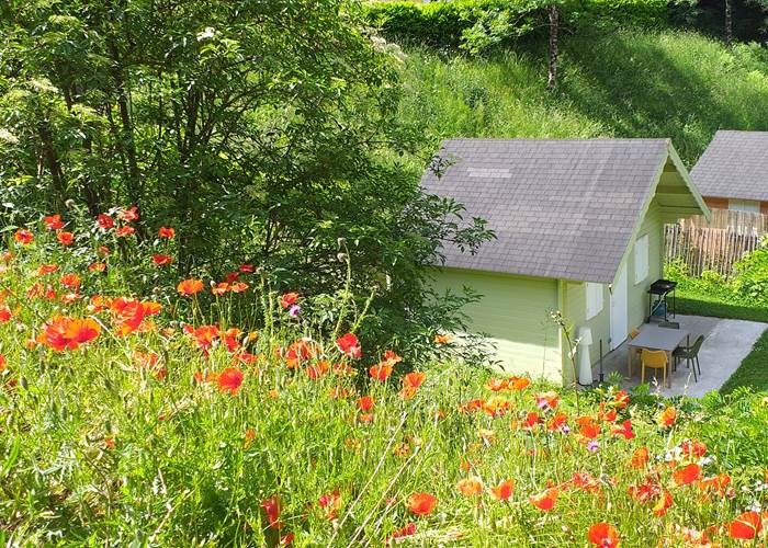 Pays des fleurs-page