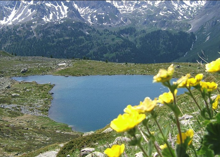 Capture d’écran 2021-10-04 à 16