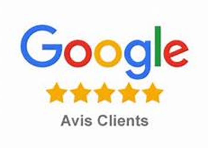 logo google avis