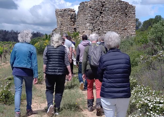 balade vigneronne au coeur des vignes du Domaine "La Tasque"
