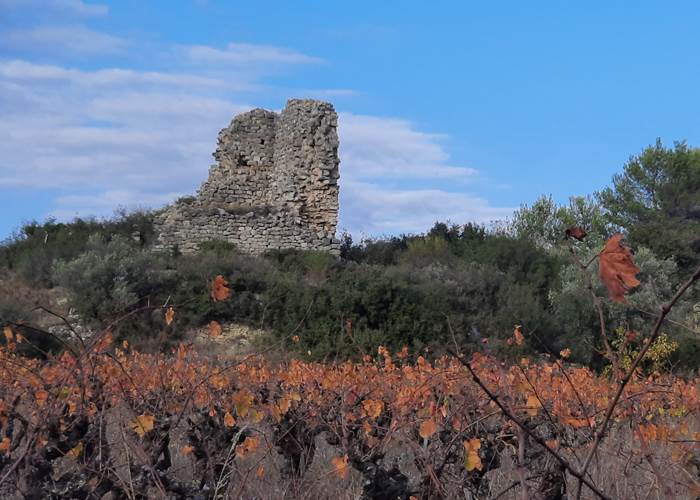 Les vestiges de Mailhac à découvrir