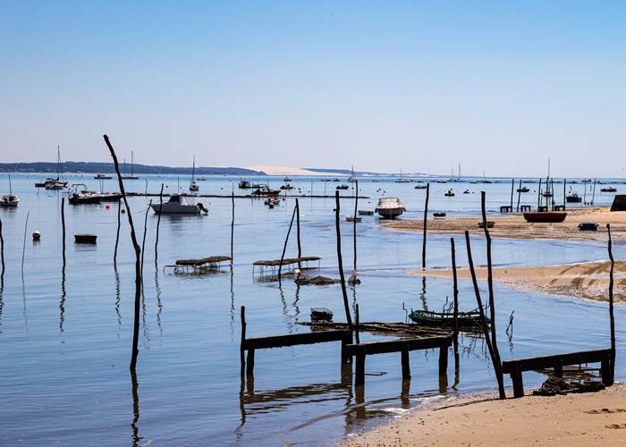 Cap Ferret