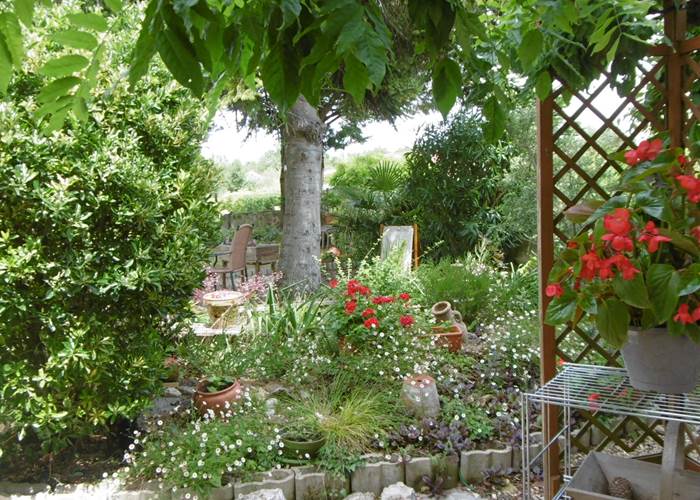 Notre petit jardin