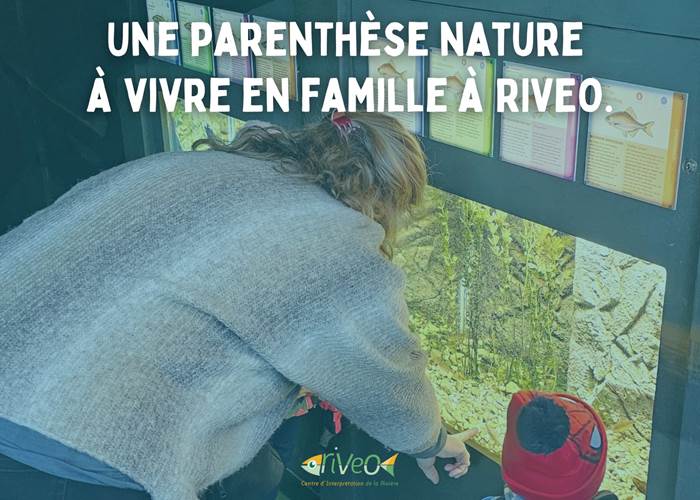 riveo-aquariums-exposition-activite-famille-vacances-scolaires-ardenne