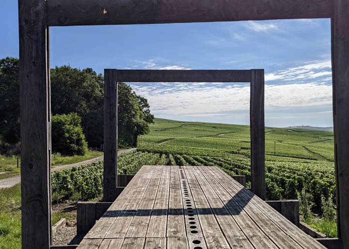 Loge de vigne en Champagne