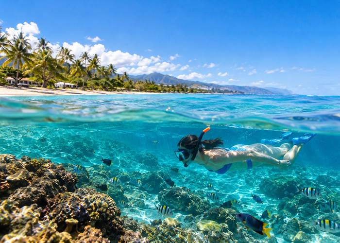 Snorkeling dans le lagon de Trou d’Eau à La Saline-les-Bains
