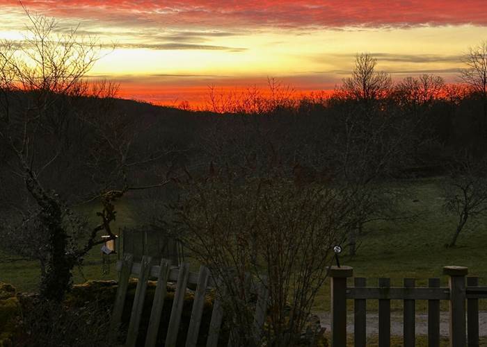 Jolies couleurs du Matin