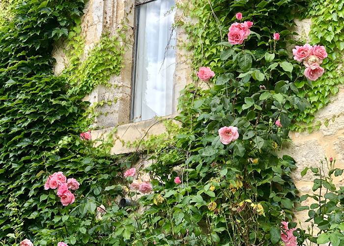 Chateau de Saint Chamarand - Exterieur, terasse et jardin