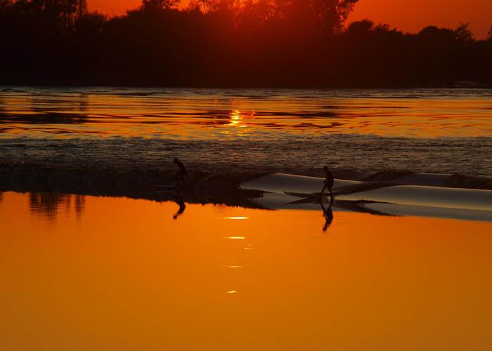 Vignoble, Bio, Biodynamie, Nature, Vins, Domaine, Visite, Dégustation, Mascaret, Sunset